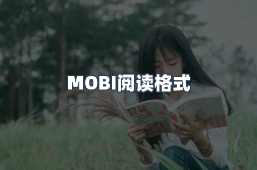 MOBI阅读格式